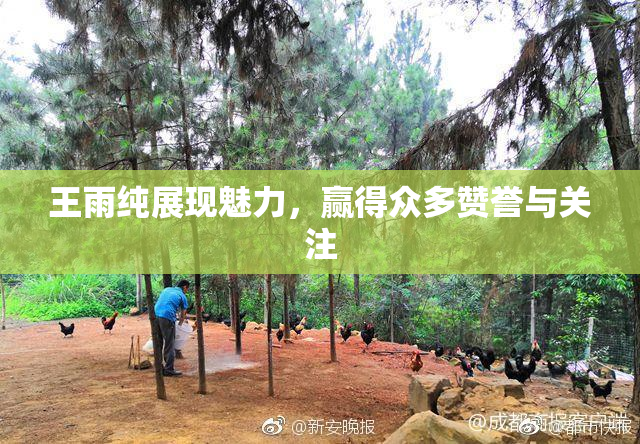 王雨纯展现魅力，赢得众多赞誉与关注