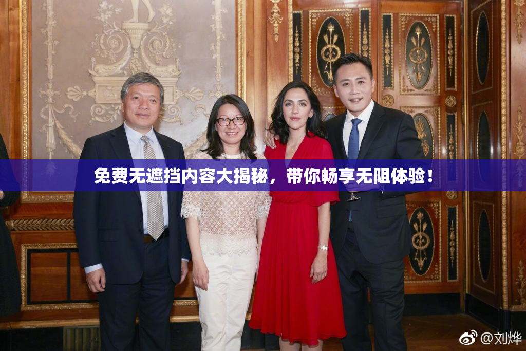 免费无遮挡内容大揭秘，带你畅享无阻体验！