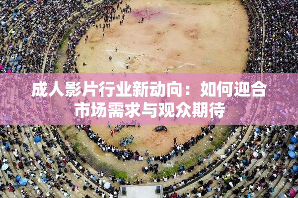 成人影片行业新动向：如何迎合市场需求与观众期待
