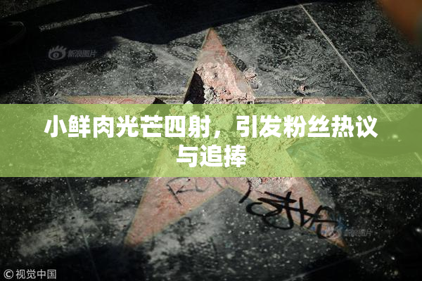 小鲜肉光芒四射，引发粉丝热议与追捧