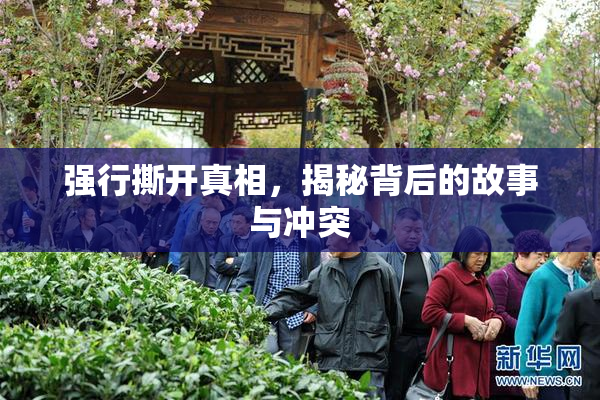 强行撕开真相，揭秘背后的故事与冲突