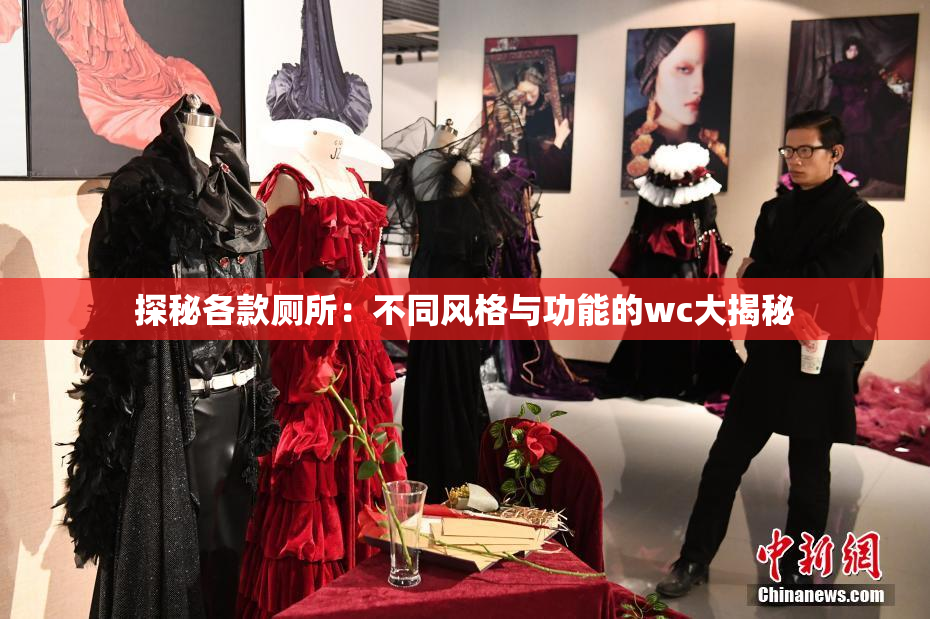 探秘各款厕所：不同风格与功能的wc大揭秘