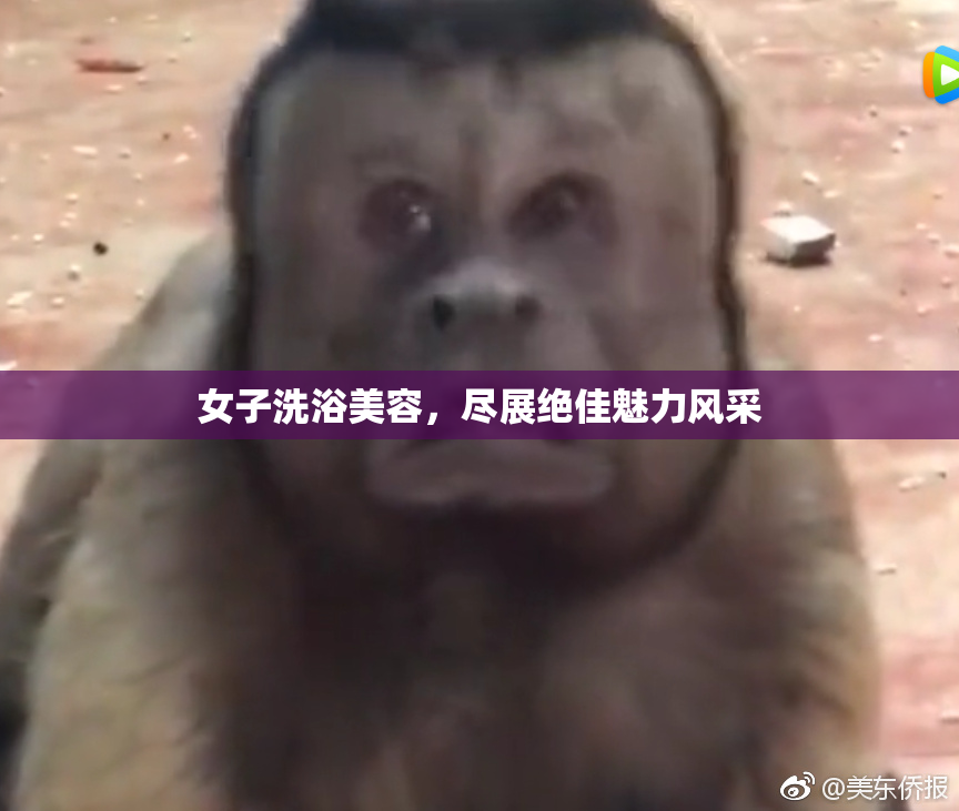 女子洗浴美容，尽展绝佳魅力风采