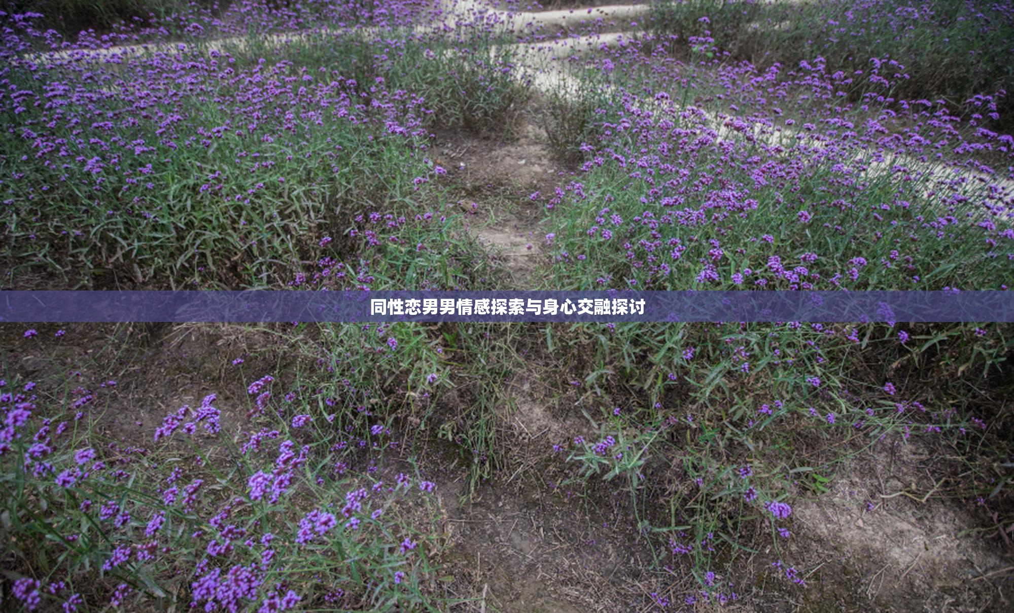 同性恋男男情感探索与身心交融探讨
