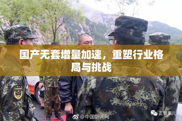 国产无套增量加速，重塑行业格局与挑战