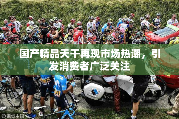 国产精品天干再现市场热潮，引发消费者广泛关注