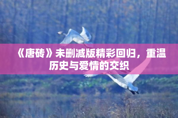 《唐砖》未删减版精彩回归，重温历史与爱情的交织
