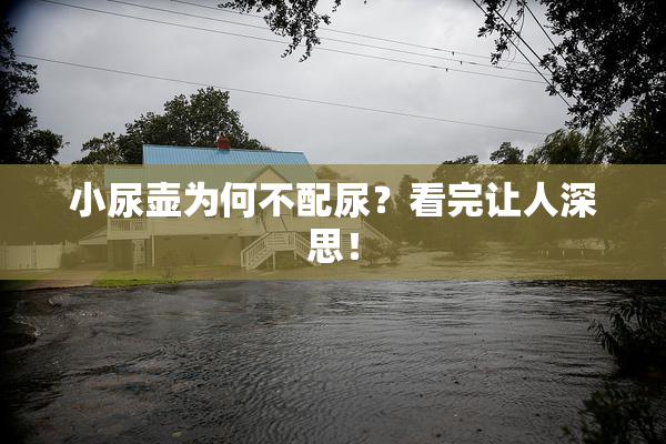 小尿壶为何不配尿？看完让人深思！