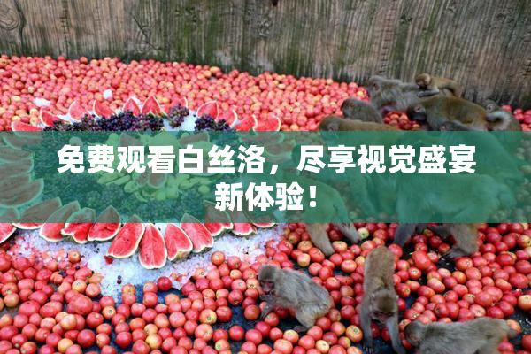 免费观看白丝洛，尽享视觉盛宴新体验！