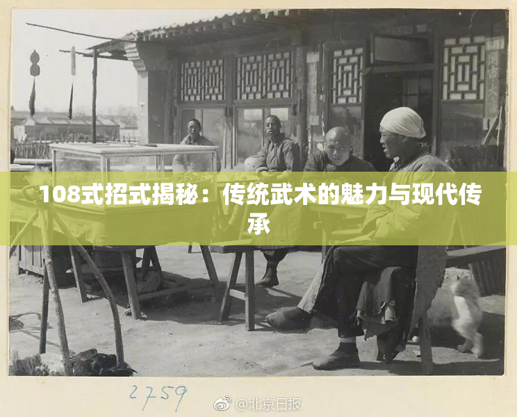 108式招式揭秘：传统武术的魅力与现代传承