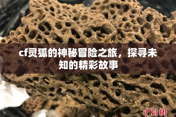 cf灵狐的神秘冒险之旅，探寻未知的精彩故事