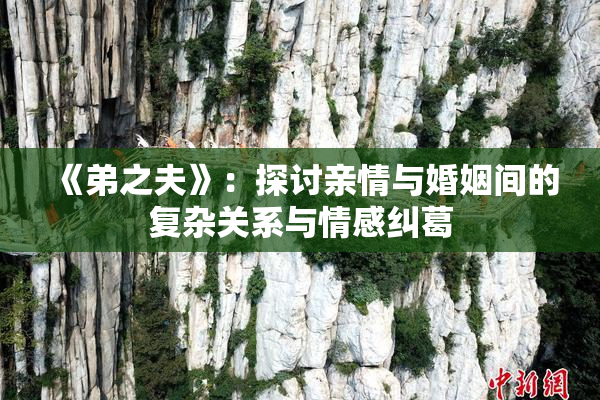 《弟之夫》：探讨亲情与婚姻间的复杂关系与情感纠葛