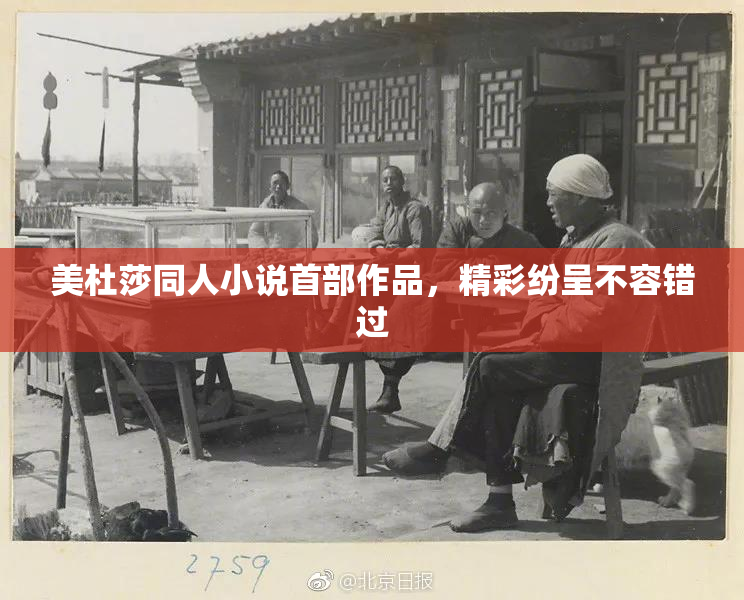 美杜莎同人小说首部作品，精彩纷呈不容错过