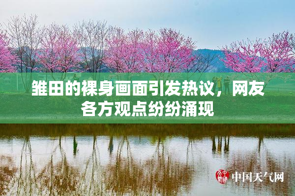 雏田的裸身画面引发热议，网友各方观点纷纷涌现