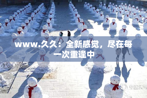 www.久久：全新感觉，尽在每一次重逢中