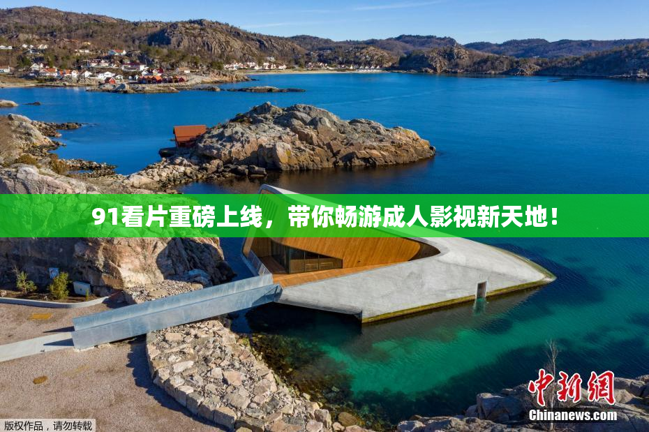 91看片重磅上线，带你畅游成人影视新天地！