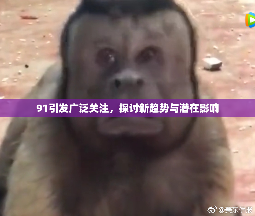 91引发广泛关注，探讨新趋势与潜在影响