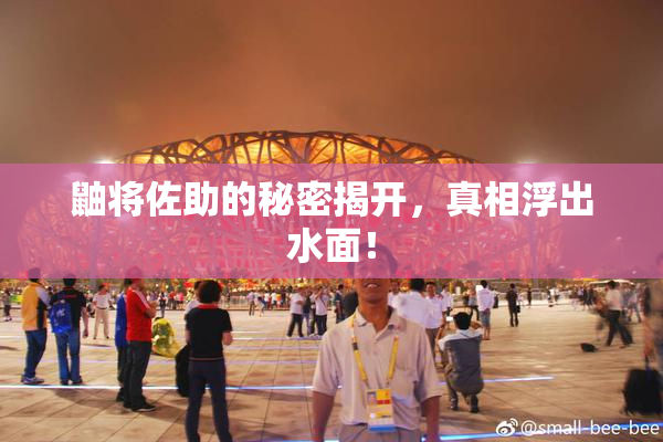 鼬将佐助的秘密揭开，真相浮出水面！