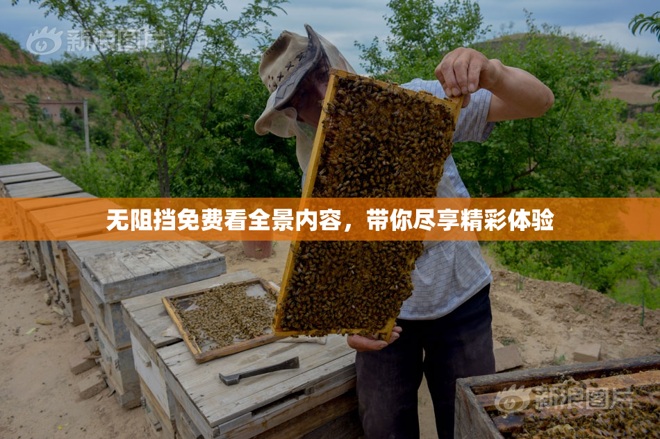 无阻挡免费看全景内容，带你尽享精彩体验
