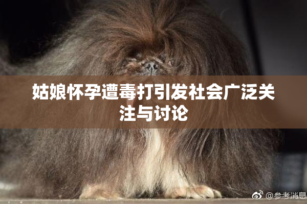 姑娘怀孕遭毒打引发社会广泛关注与讨论