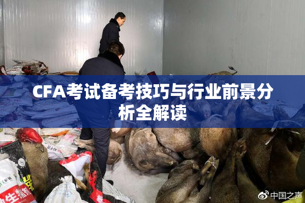 CFA考试备考技巧与行业前景分析全解读