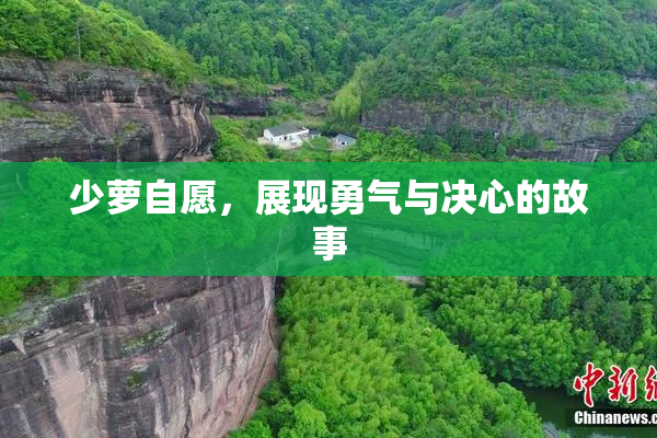 少萝自愿，展现勇气与决心的故事