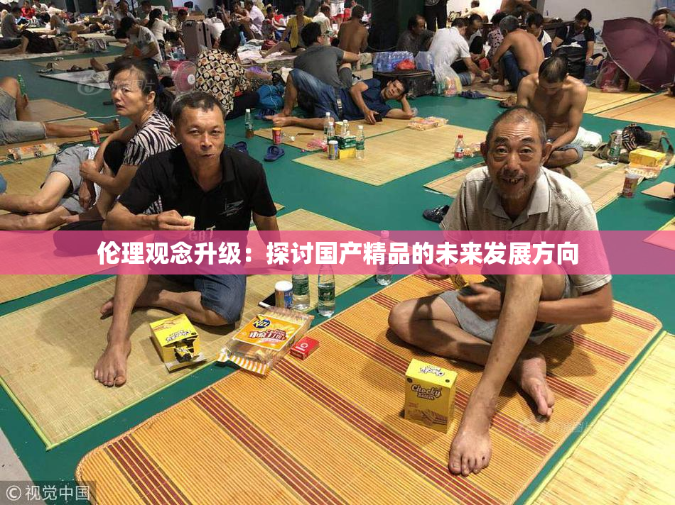 伦理观念升级：探讨国产精品的未来发展方向