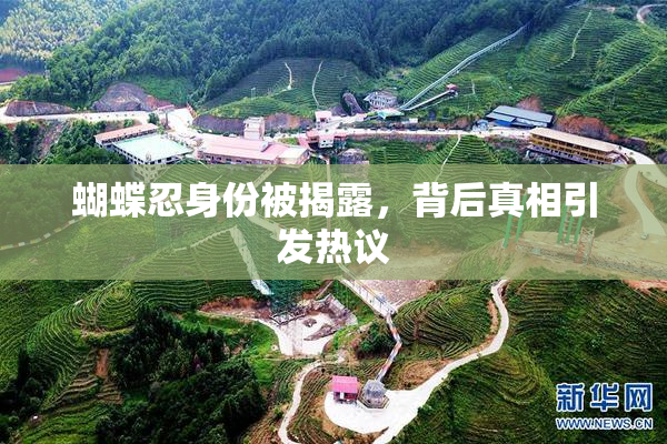 蝴蝶忍身份被揭露，背后真相引发热议