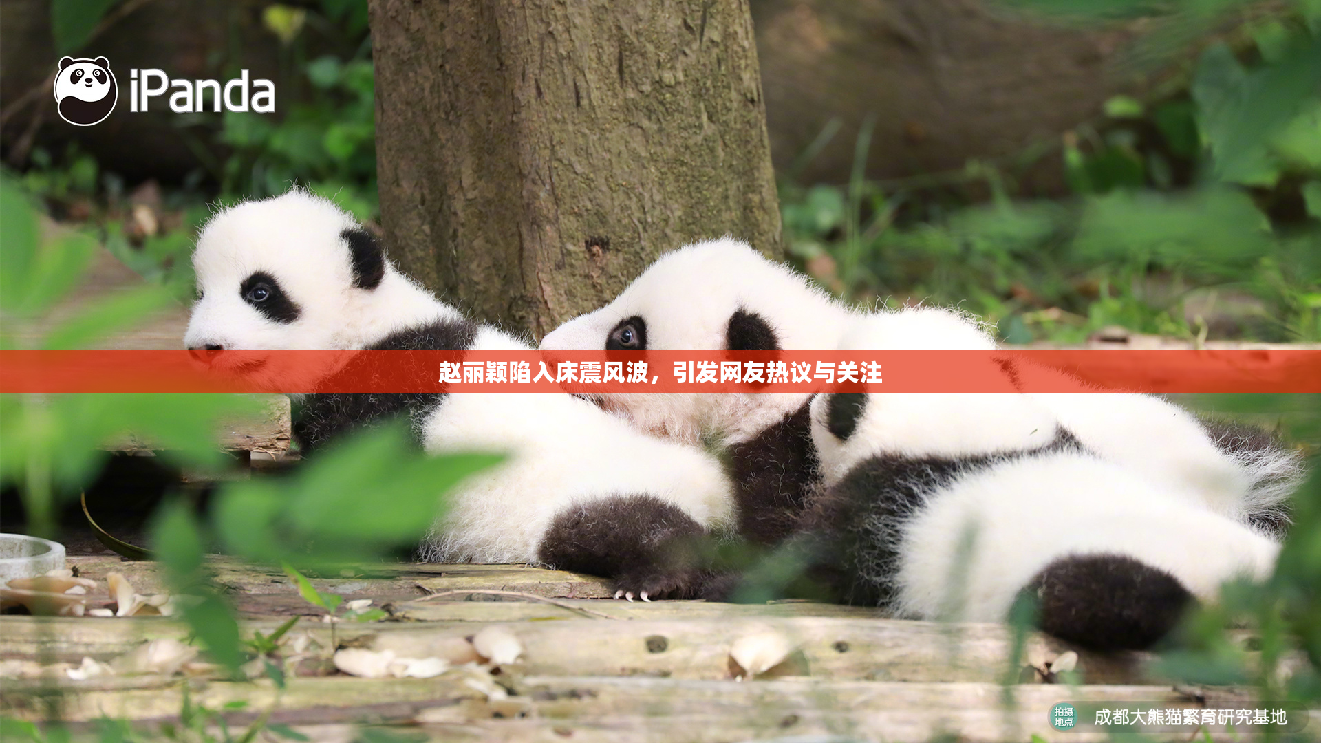 赵丽颖陷入床震风波，引发网友热议与关注