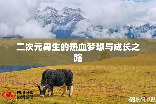 二次元男生的热血梦想与成长之路