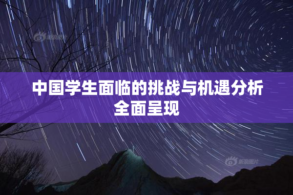 中国学生面临的挑战与机遇分析全面呈现