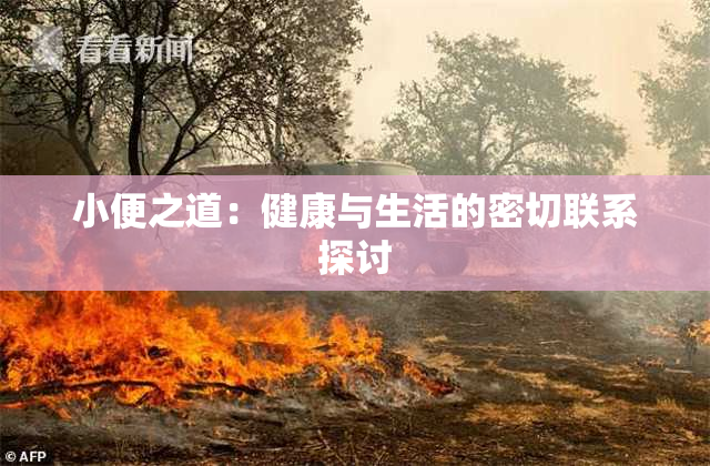 小便之道：健康与生活的密切联系探讨