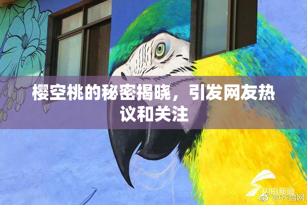 樱空桃的秘密揭晓，引发网友热议和关注