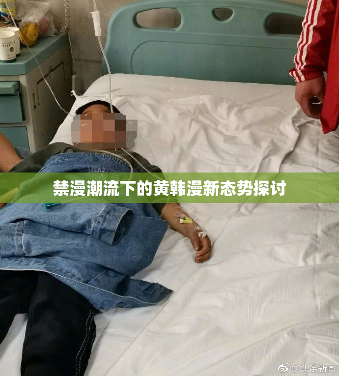 禁漫潮流下的黄韩漫新态势探讨