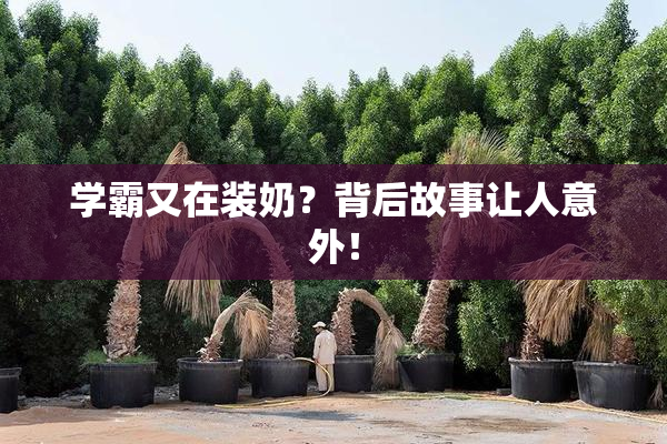 学霸又在装奶？背后故事让人意外！