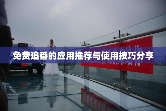 免费追番的应用推荐与使用技巧分享