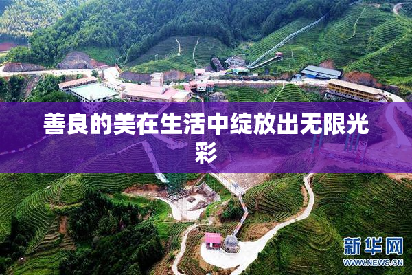 善良的美在生活中绽放出无限光彩