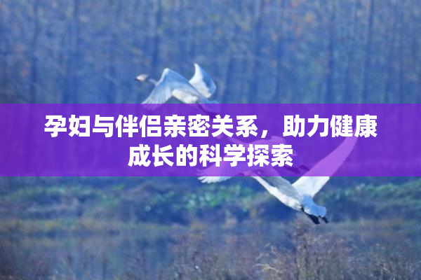 孕妇与伴侣亲密关系，助力健康成长的科学探索
