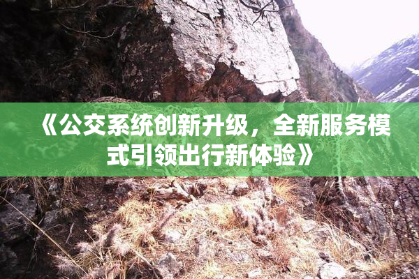 《公交系统创新升级，全新服务模式引领出行新体验》
