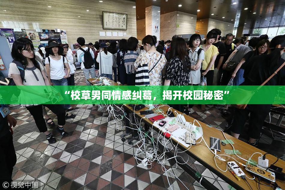 “校草男同情感纠葛，揭开校园秘密”