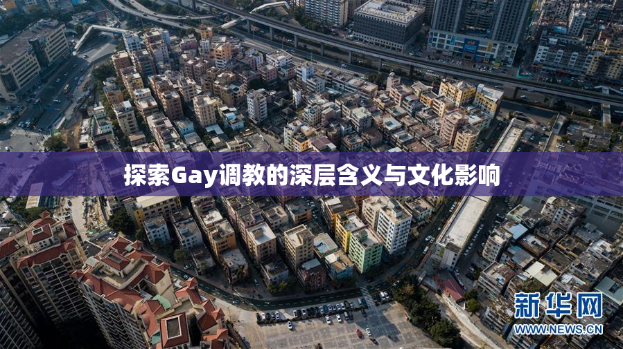 探索Gay调教的深层含义与文化影响