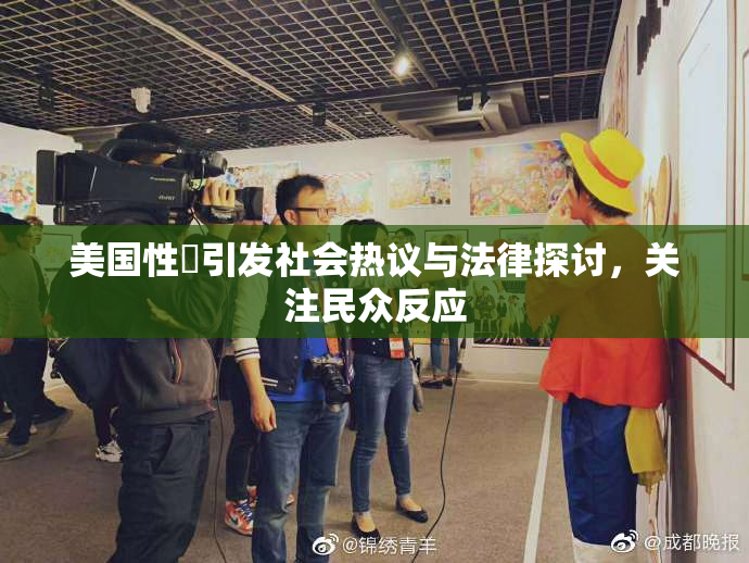 美国性婬引发社会热议与法律探讨，关注民众反应