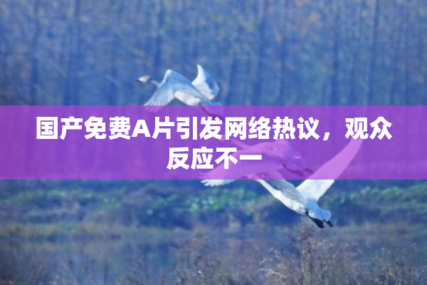 国产免费A片引发网络热议，观众反应不一