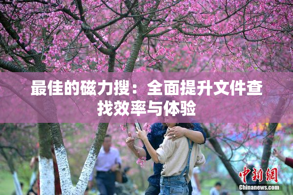 最佳的磁力搜：全面提升文件查找效率与体验