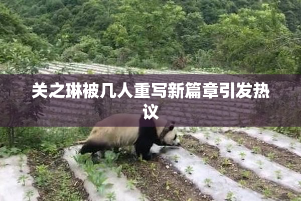 关之琳被几人重写新篇章引发热议
