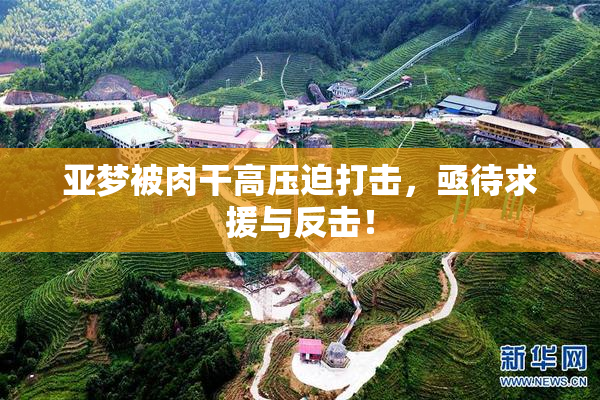 亚梦被肉干高压迫打击，亟待求援与反击！
