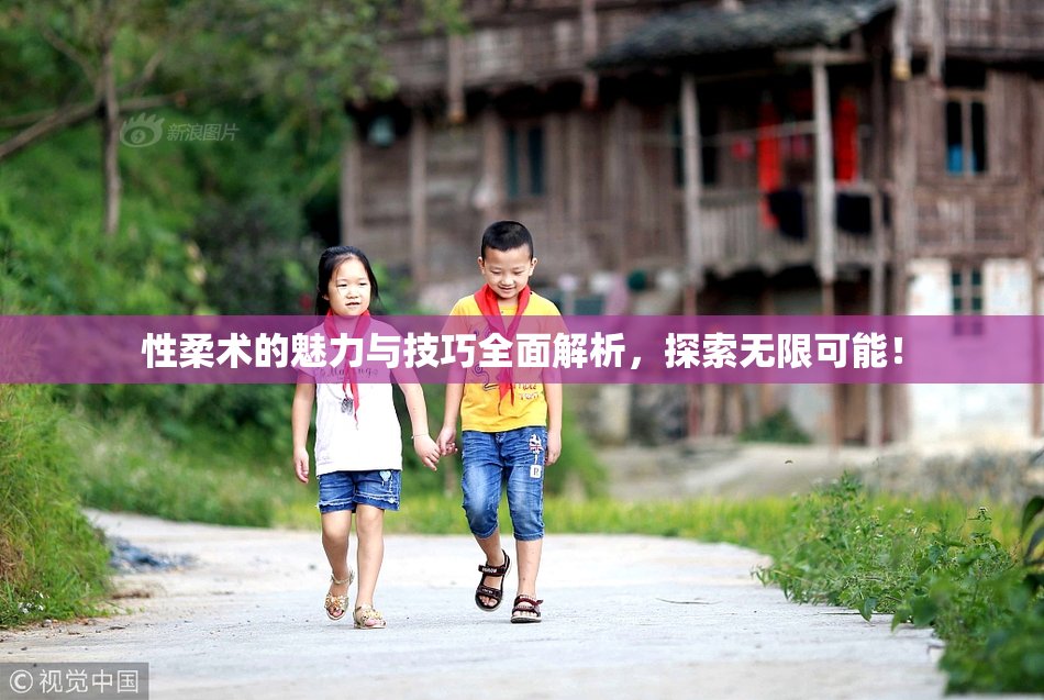 性柔术的魅力与技巧全面解析，探索无限可能！
