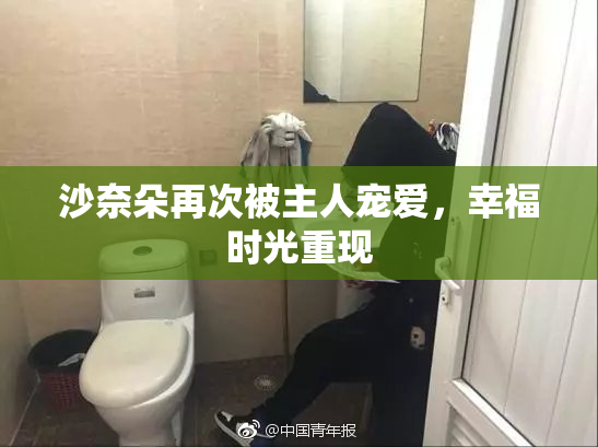 沙奈朵再次被主人宠爱，幸福时光重现