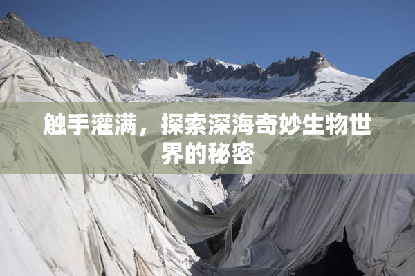 触手灌满，探索深海奇妙生物世界的秘密