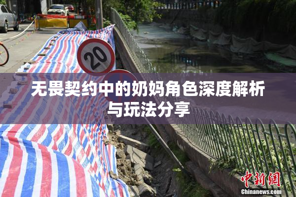 无畏契约中的奶妈角色深度解析与玩法分享